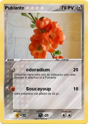 Pokemon Puklante