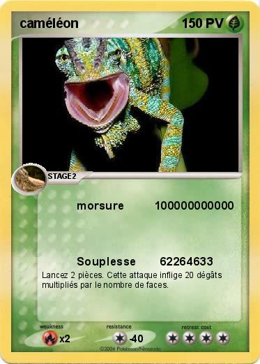 Pokemon caméléon