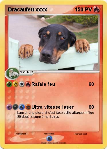 Pokemon Dracaufeu xxxx