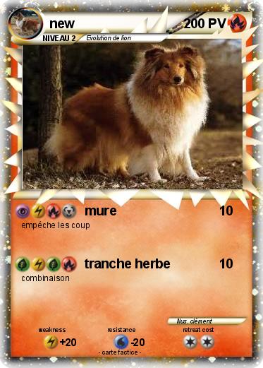 Pokemon new