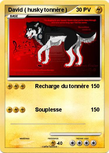 Pokemon David ( husky tonnère )