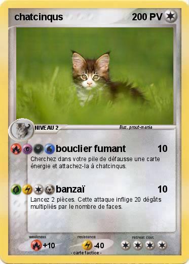 Pokemon chatcinqus