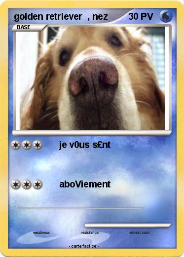 Pokemon golden retriever  , nez