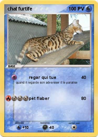 Pokemon chat furtife