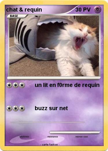 Pokemon chat & requin
