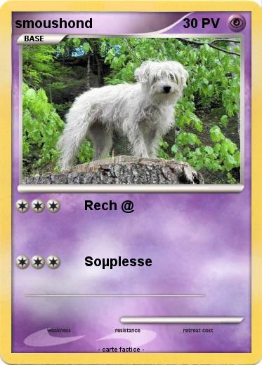 Pokemon smoushond