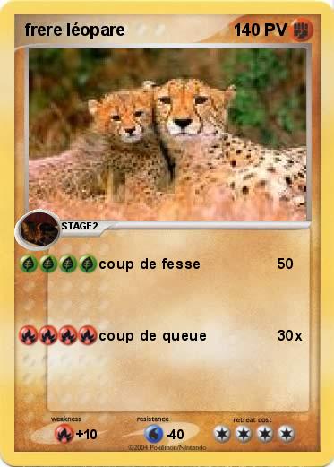Pokemon frere léopare  