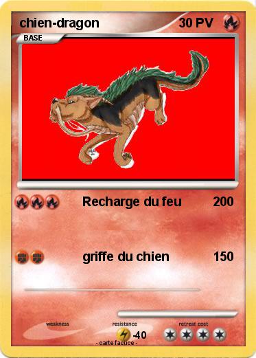Pokemon chien-dragon