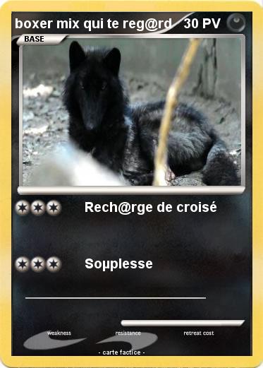 Pokemon boxer mix qui te reg@rd