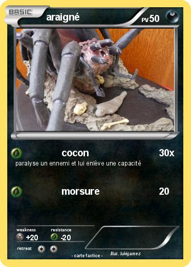 Pokemon araigné