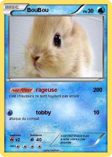 Pokemon BouBou