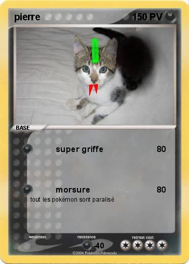 Pokemon pierre
