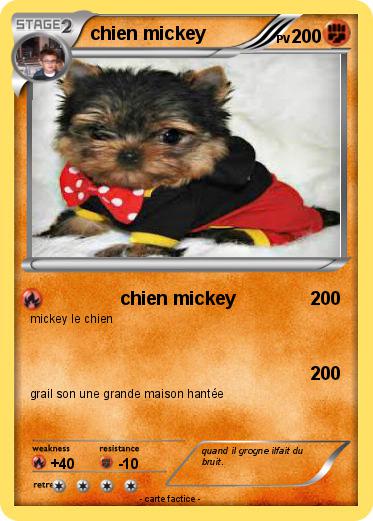 Pokemon chien mickey