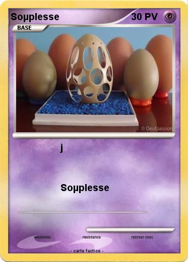 Pokemon Soµplesse