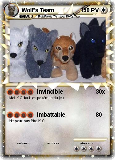 Pokemon Wolf's Team