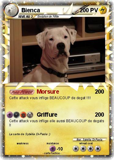 Pokemon Bienca