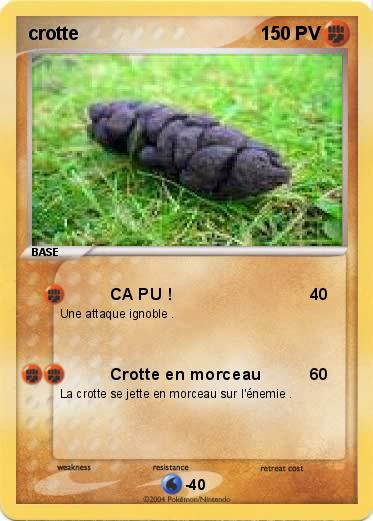 Pokemon crotte