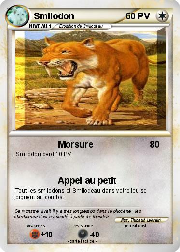Pokemon Smilodon