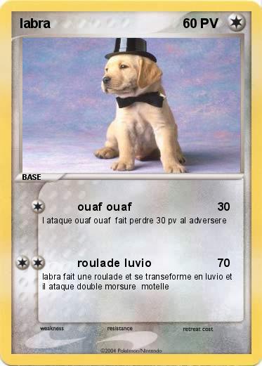 Pokemon labra
