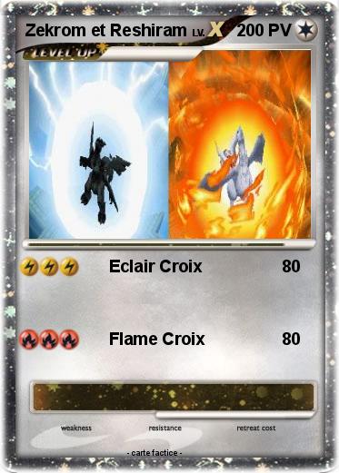Pokemon Zekrom et Reshiram