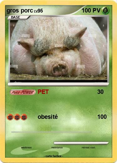 Pokemon gros porc