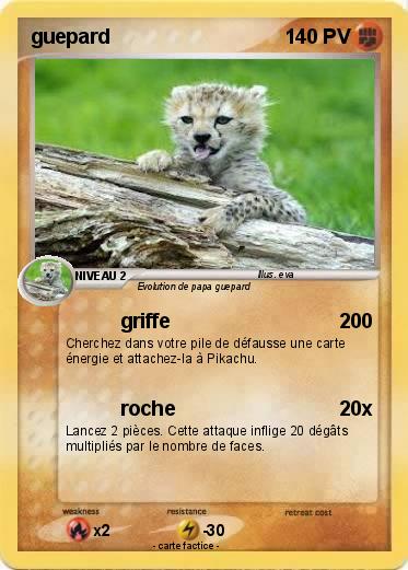 Pokemon guepard