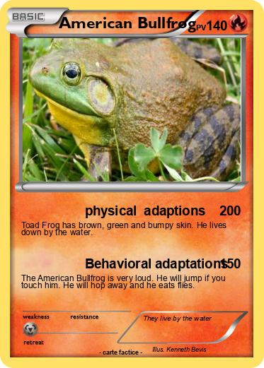 Pokemon American Bullfrog