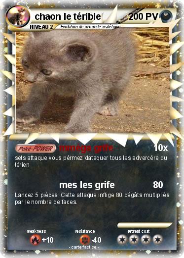 Pokemon chaon le térible