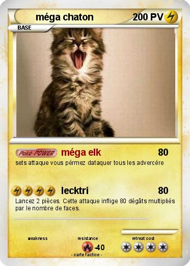Pokemon méga chaton