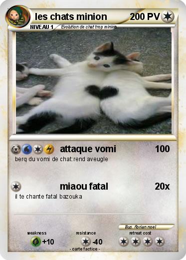 Pokemon les chats minion