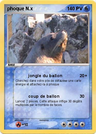 Pokemon phoque N.x