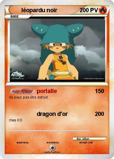 Pokemon léopardu noir