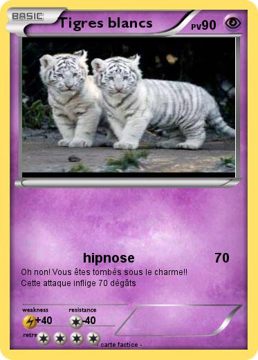 Pokemon Tigres blancs