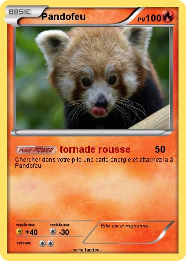 Pokemon Pandofeu