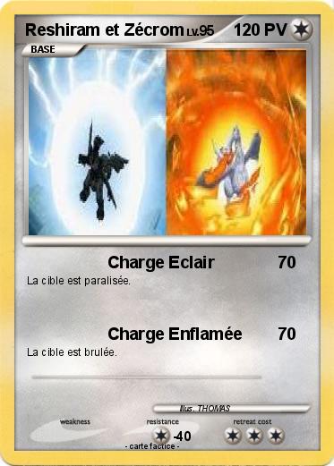 Pokemon Reshiram et Zécrom