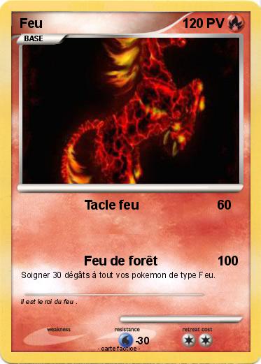 Pokemon Feu