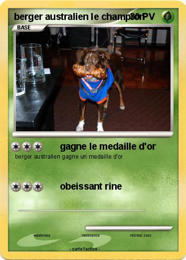 Pokemon berger australien le champion