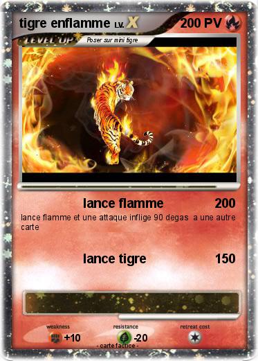 Pokemon tigre enflamme