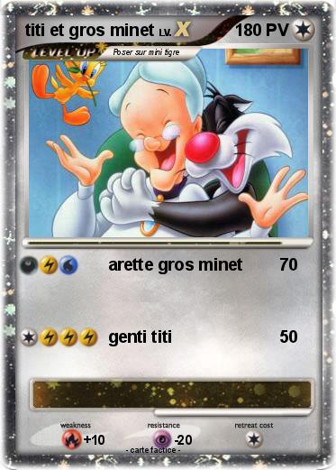 Pokemon titi et gros minet