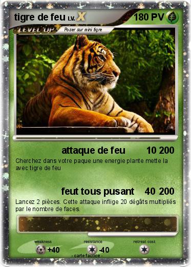 Pokemon tigre de feu