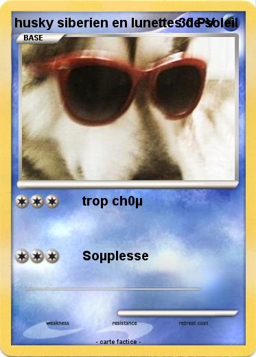 Pokemon husky siberien en lunettes de soleil