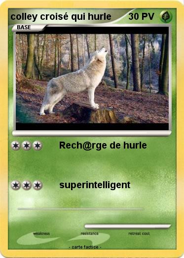 Pokemon colley croisé qui hurle