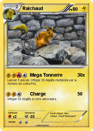 Pokemon Raichaud