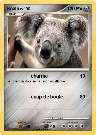 Pokemon koala