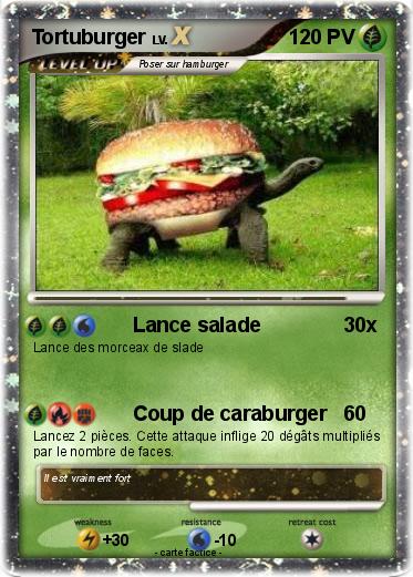 Pokemon Tortuburger