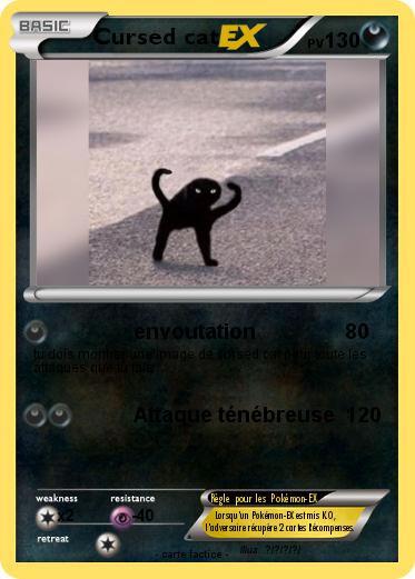 Pokemon Cursed cat