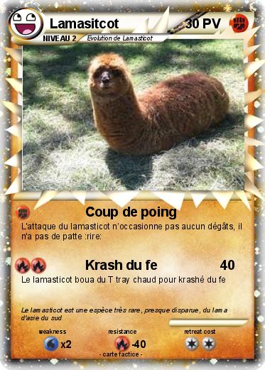Pokemon Lamasitcot