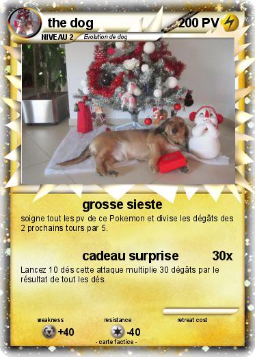 Pokemon the dog