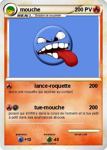 Pokemon mouche