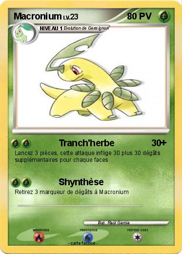 Pokemon Macronium